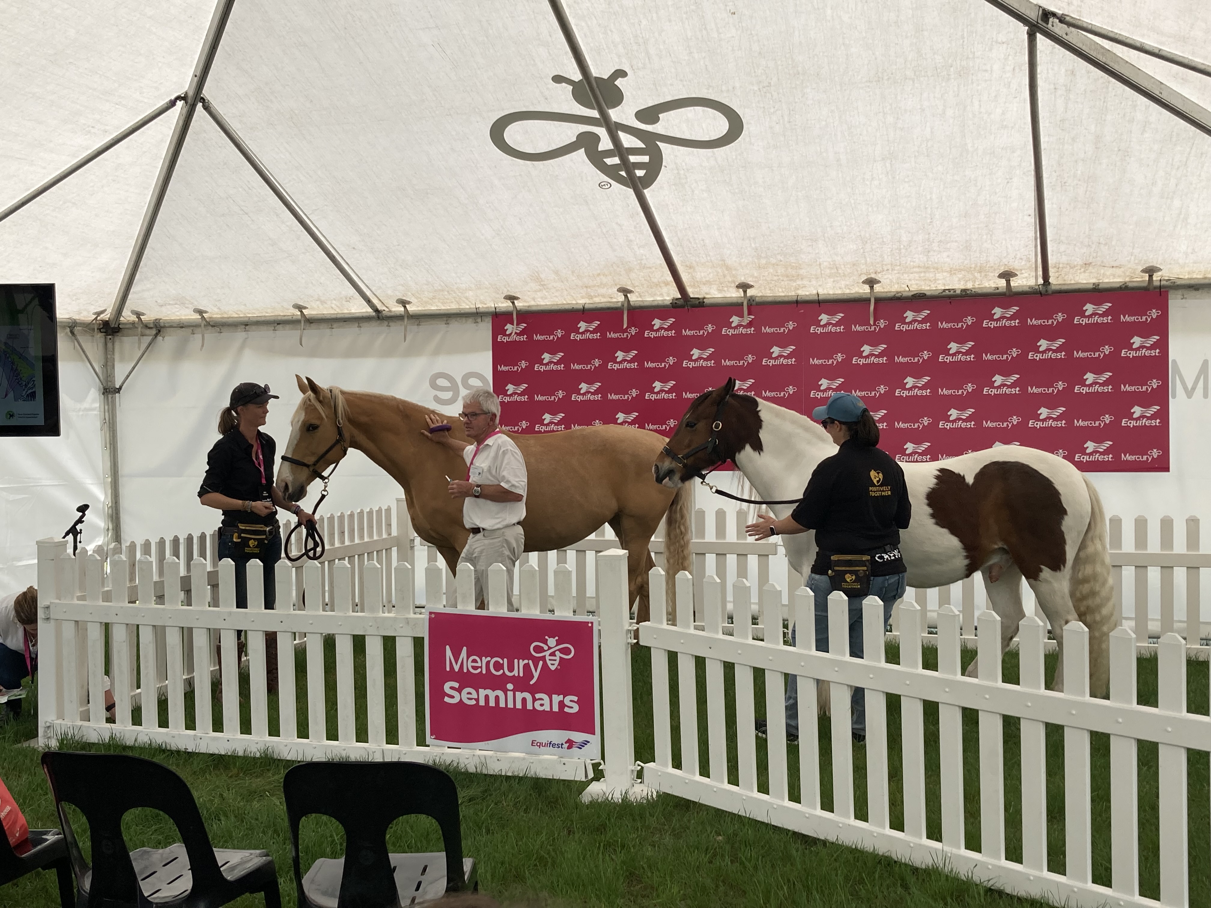 Ivan at Equifest