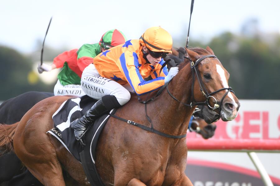 Jockey and racehorse
