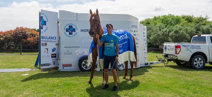 Horse Ambulance