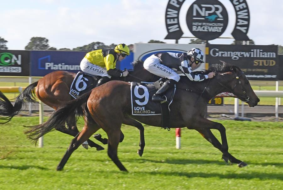 Racehorse