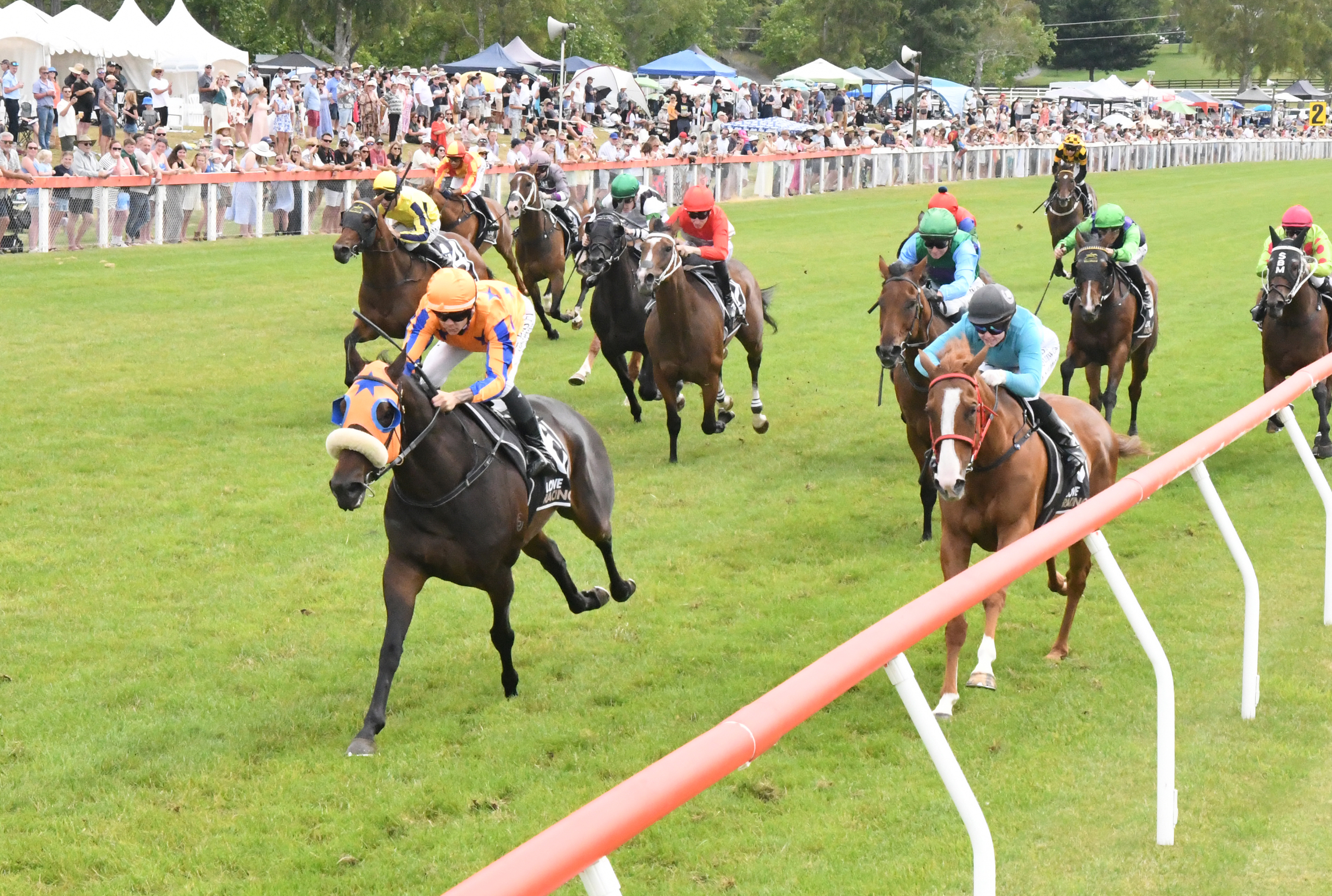 WHAT YOU WISH FOR - TAUPO 28-12-2025 RACE IMAGES PHOTO PETER RUBERY 