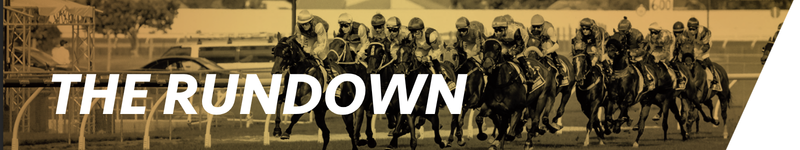 The Rundown