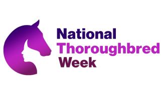 NTW logo