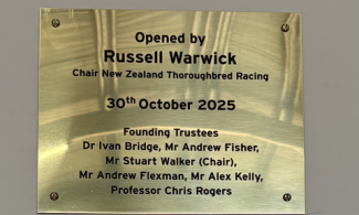 Plaque