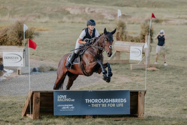 horse jumping