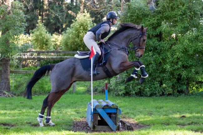 Cayley Myers riding Escalade (Roc De Cambes/Escalate) at the Levin Know Your Thoroughbred Clinic currently being retrained by Jump Start Retraining. Photo – Jess Leong Son   